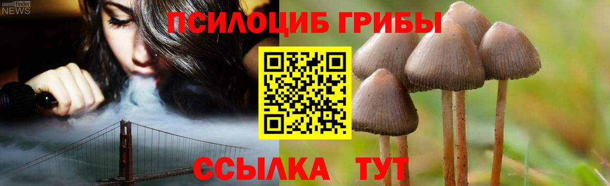 Галлюциногенные грибы Psilocybine cubensis Вольск